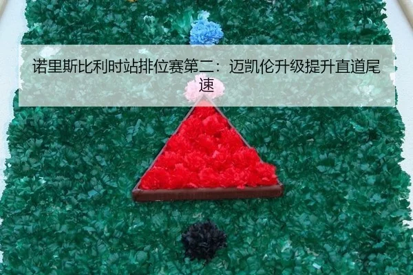 nuo-li-si-bi-li-shi-zhan-pai-wei-sai-di-er-mai-kai-lun-sheng-ji-ti-sheng-zhi-dao-wei-su-3-110.jpg